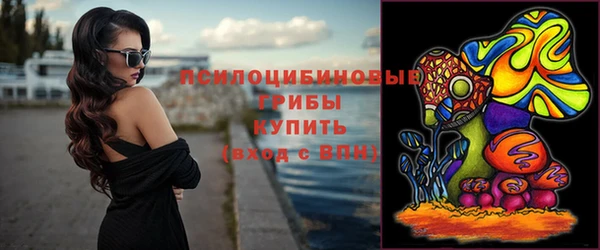 МДПВ Михайловск