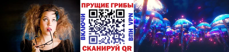 что такое наркотик Рославль Псилоцибиновые грибы мицелий